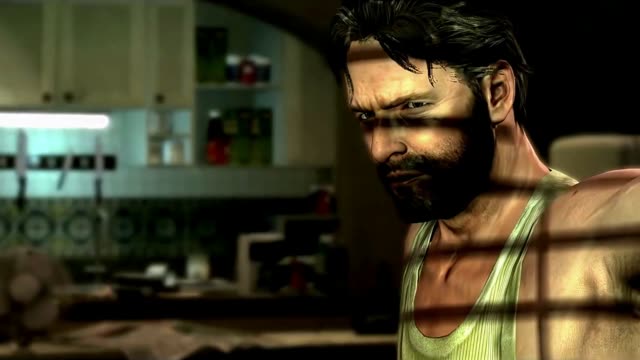 Max Payne 3